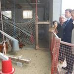 El consejero gallego de Medio Rural en las instalaciones de Capones Aurora.