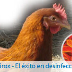bioseguridad-ponedoras-bbzix bioseguridad-ponedoras-bbzix