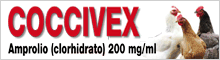 Coccivex