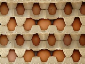 eggs-5814_640