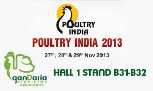 Poultry-India