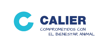 calier-despadac-ready-desinfectante-multiusos