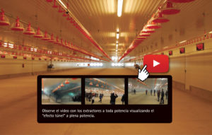 Video de efecto tunel en nave avícola