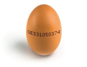 huevo-etiqueta-intervencion-irregular