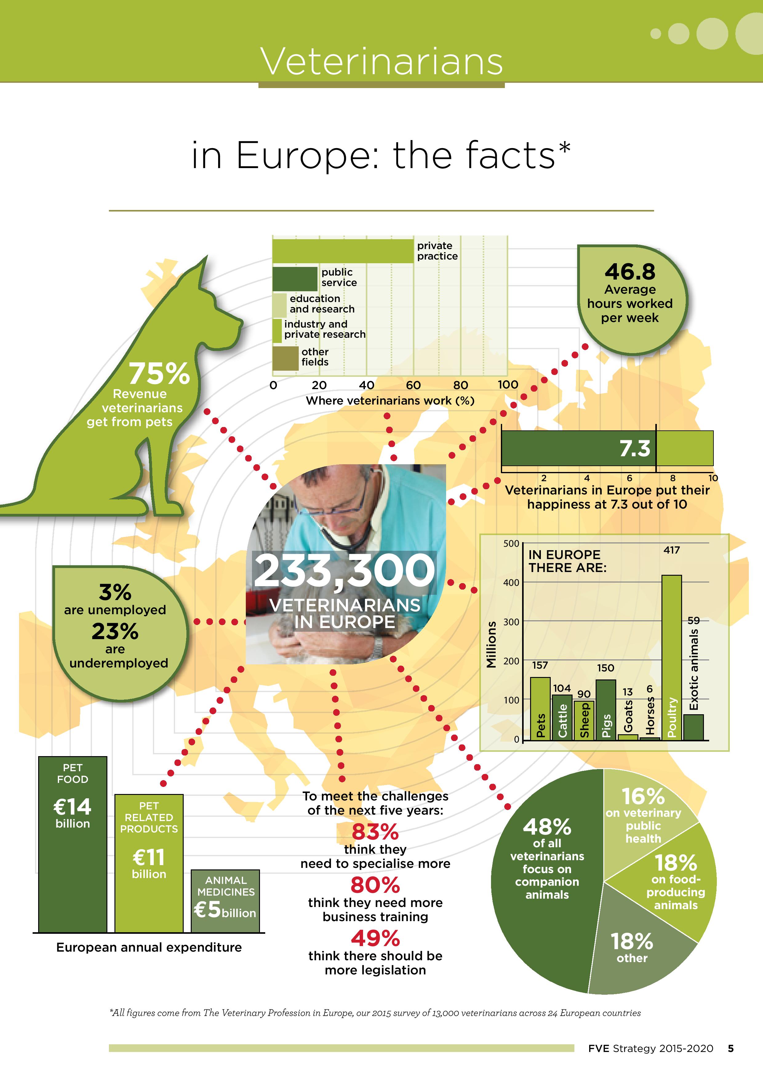 estrategia-fve-veterinarios-page-005