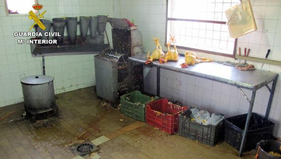 Imagen del matadero clandestino de la explotación murciana (Fotografía de la Guardia Civil)
