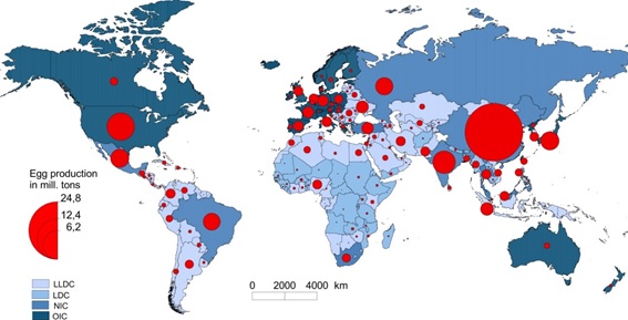 paises-desarrollo-huevo