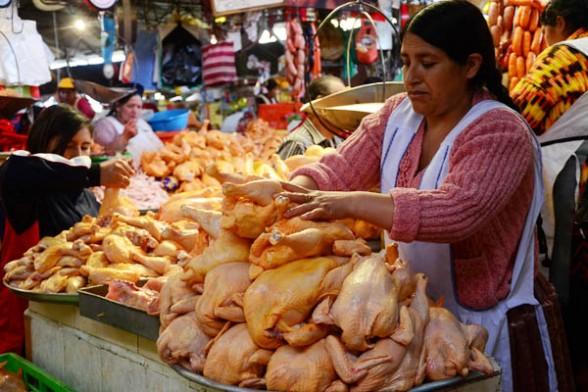 bolivia-precio-pollo-maiz-oferta-demanda