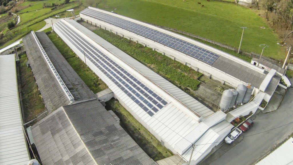 Paneles Solares en Granja Avícola Campomayor (Lugo, España)