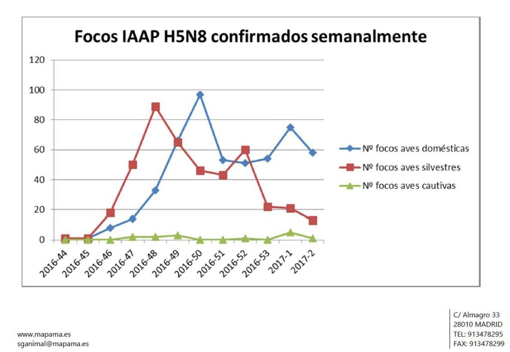 Focos IA en Europa hasta 16 Enero 2017