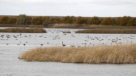 laguna fuentes de nava en palencia