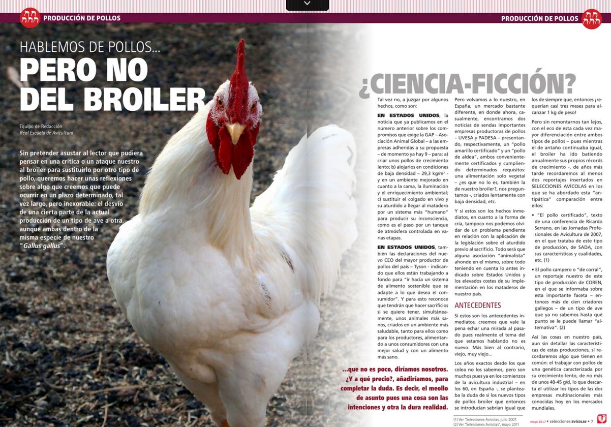 POLLO-ALTERNATIVOS-ECOLOGICOS-AL-BROILER