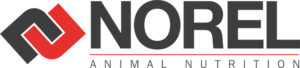 norel logo