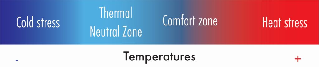 Heat stress illustration