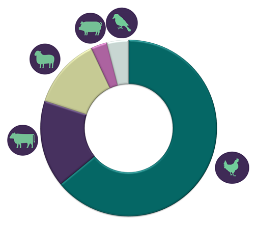 campylobacter-escocia-bacteria