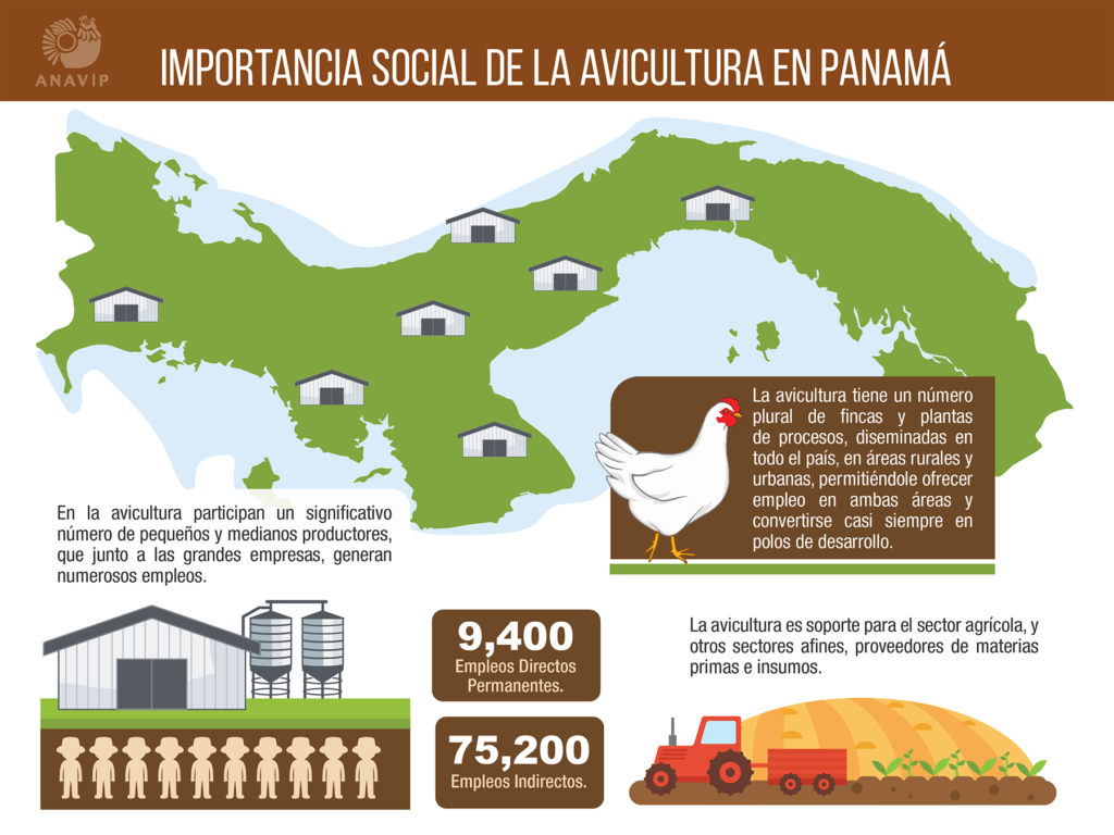 importacia-social-de-la-avicultura-en-panama