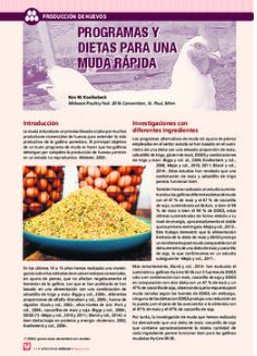 programas-y-dietas-para-una-muda-rapida-sa-revista