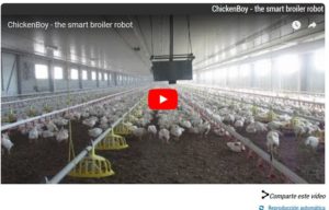 chicken-boy-robot-para-avicultura-de-faromatics-1
