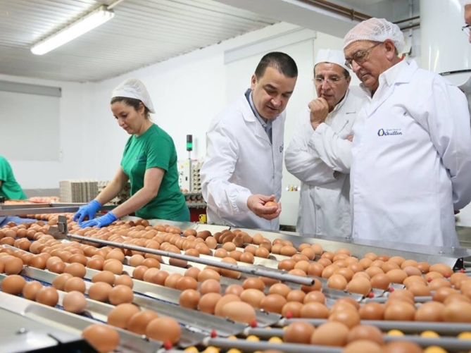 El consejero de Agricultura, Medio Ambiente y Desarrollo Rural, de Castilla la Mancha, Francisco Martínez Arroyo, ha visitado el 10 de julio las instalaciones de la avícola Padrino Sierra, ubicada en Villaluenga de la Sagra (Toledo). En la foto, en el centro de clasificación