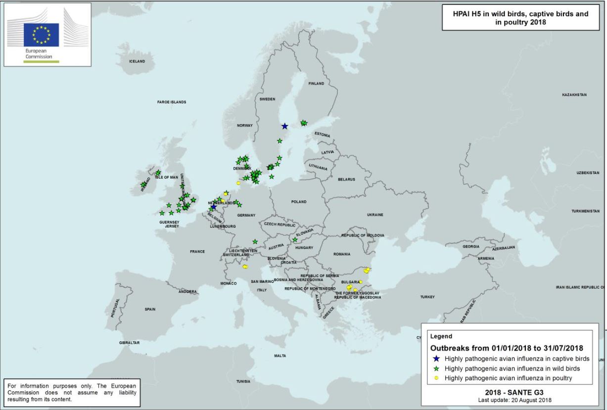 influenza-aviar-altamente-patogena-UE-201801-hasta-201808