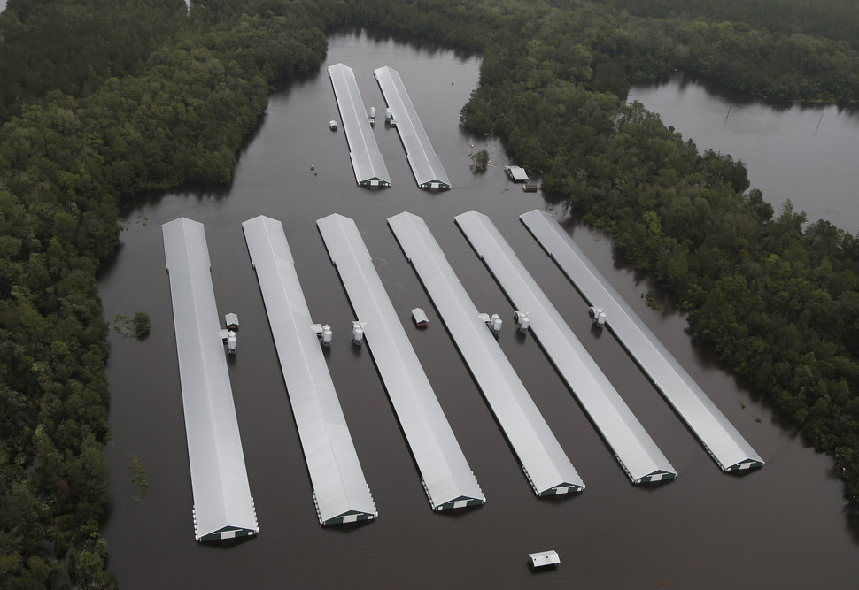 Los daños no han sido tanto por la fuerza del huracán sino por los crecimientos de caudales fluviales. Carolina del Norte, EEUU (16 sept 2018, AP Photo/Steve Helber)