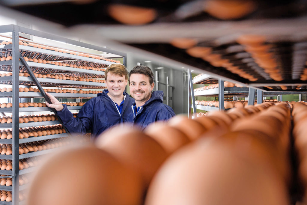 Evonik Industries, In Ovo, Niederlande