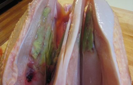 La 'enfermedad del músculo verde' en los pollos - Avicultura